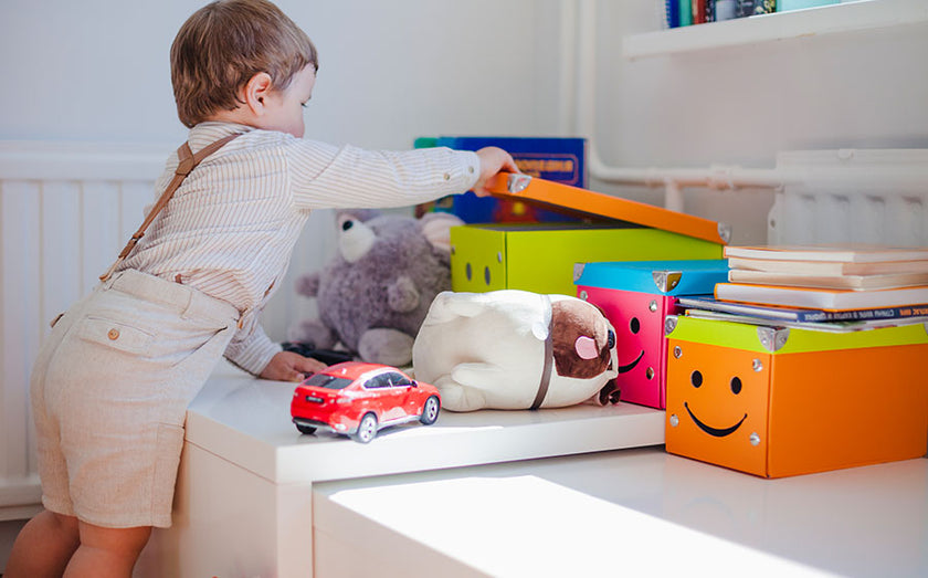 Toy Storage: A Guide to a Clutter-Free Home