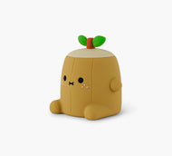 Ricelogi Little Light