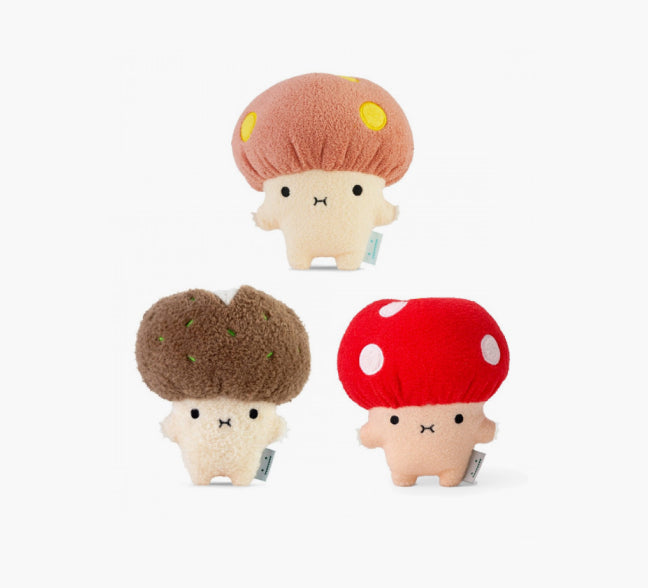 The Mushroom Collection