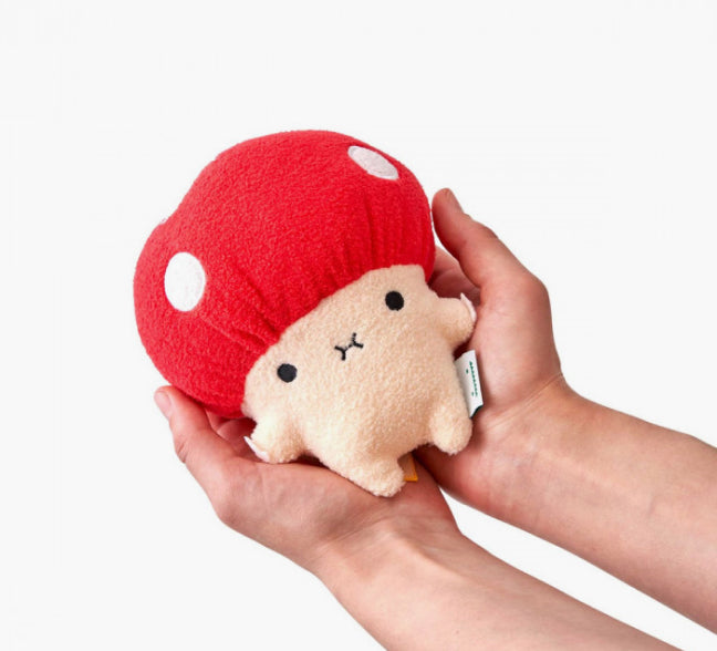 The Mushroom Collection